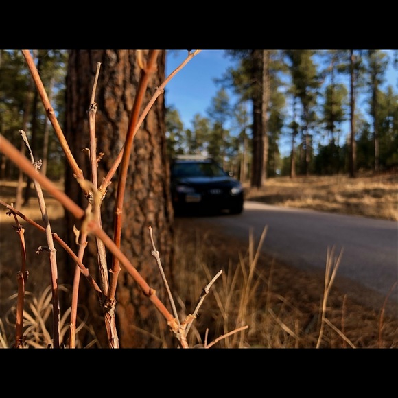 Meet your Posher, Terrin - Picture 1 of 1